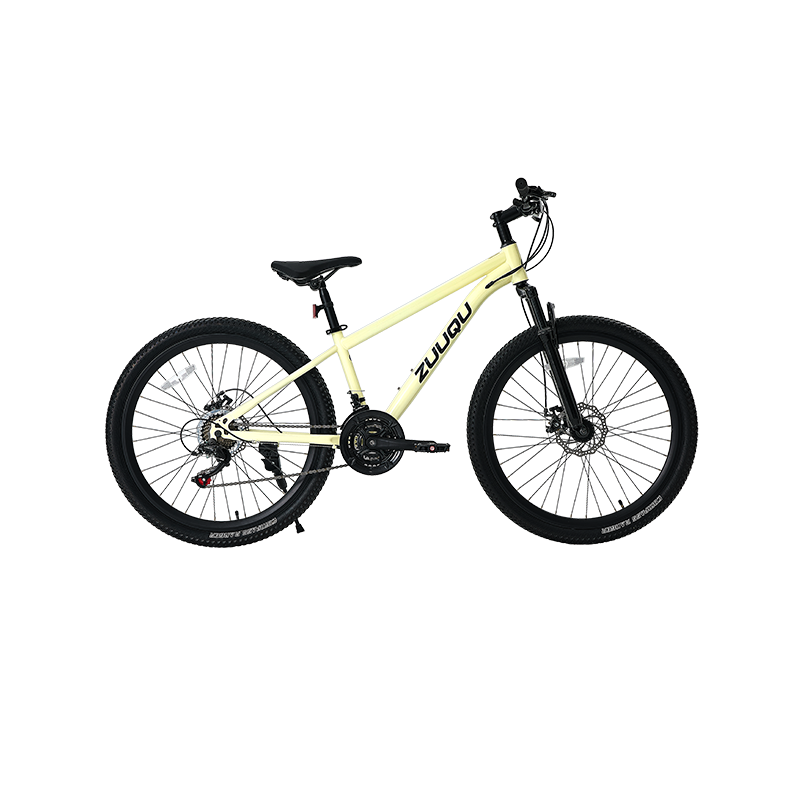 Brazo de disco de 21 velocidades 26 "MTB